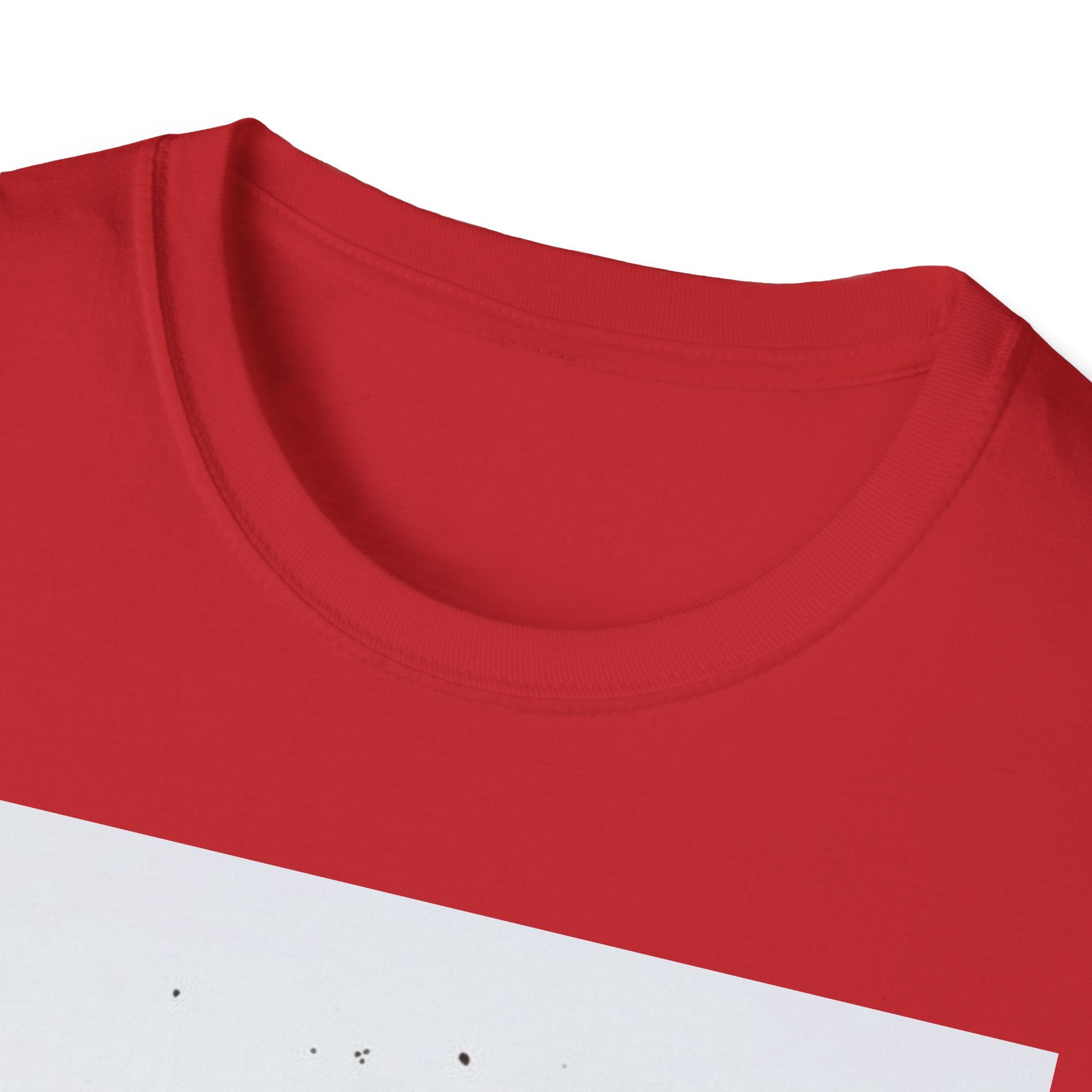 Unisex Softstyle T-Shirt 3
