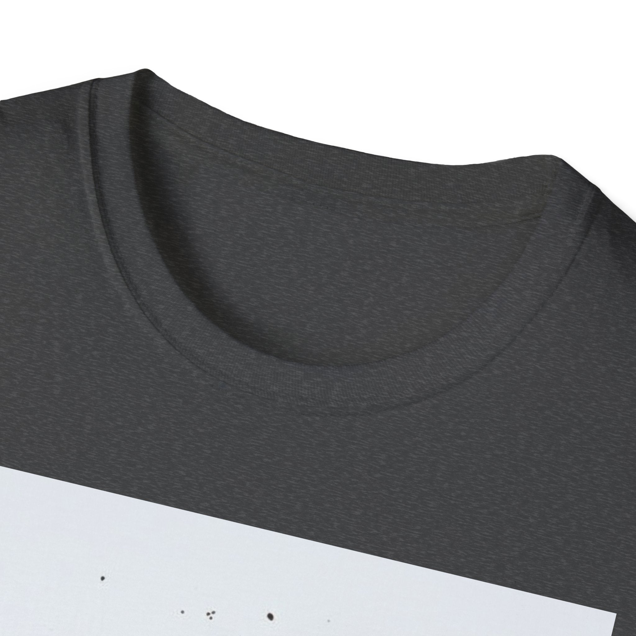 Unisex Softstyle T-Shirt 3