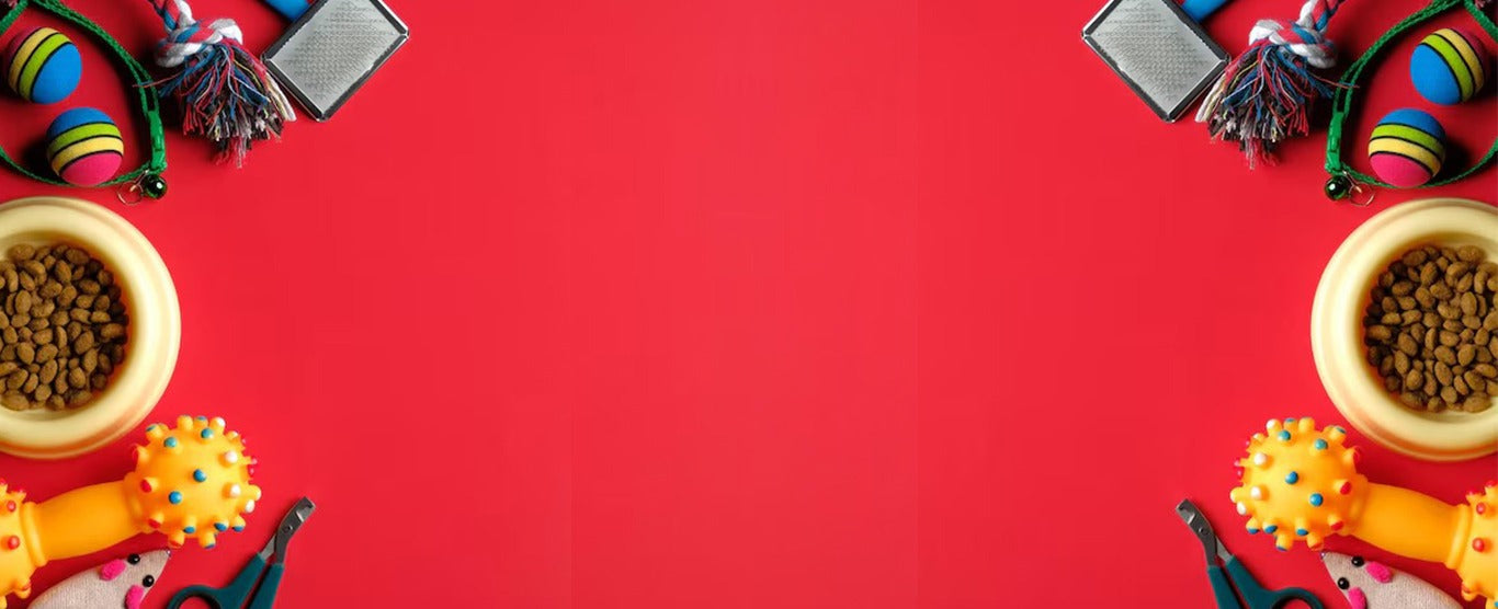 Dog toys and treats on a red background