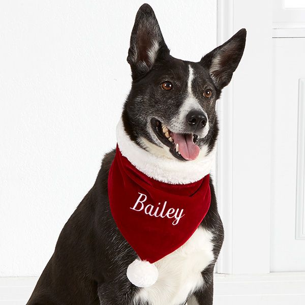 SantaPaws Pet Bandana