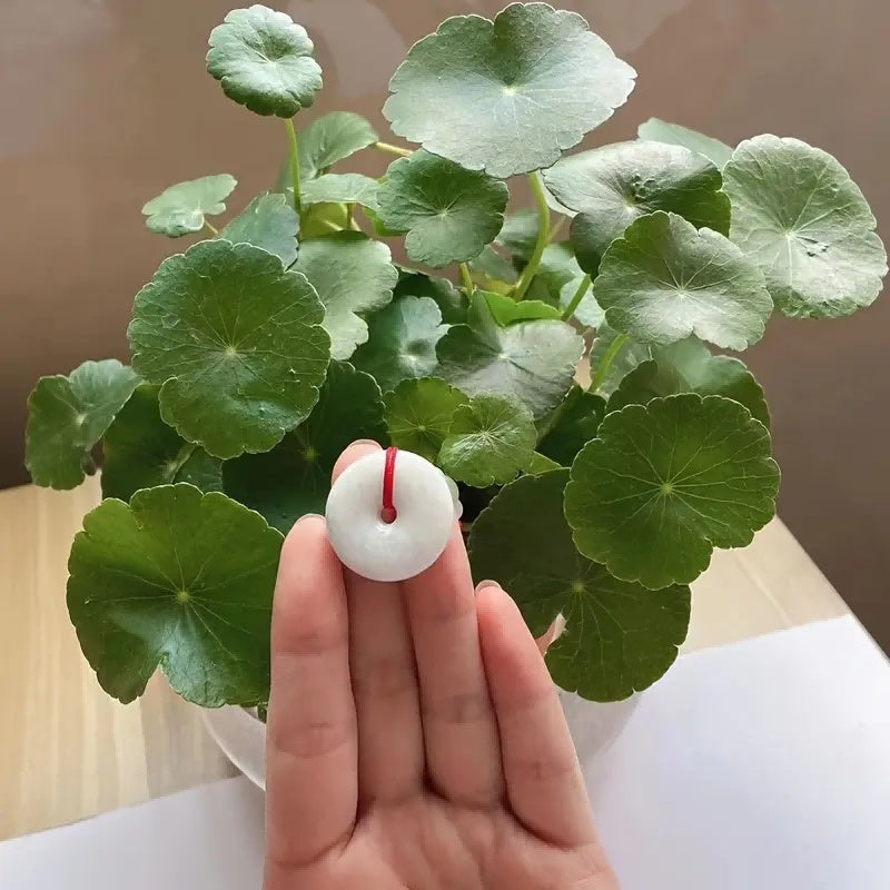 Jadeite Peace Donut Healing Crystal Necklace | Inner Peace