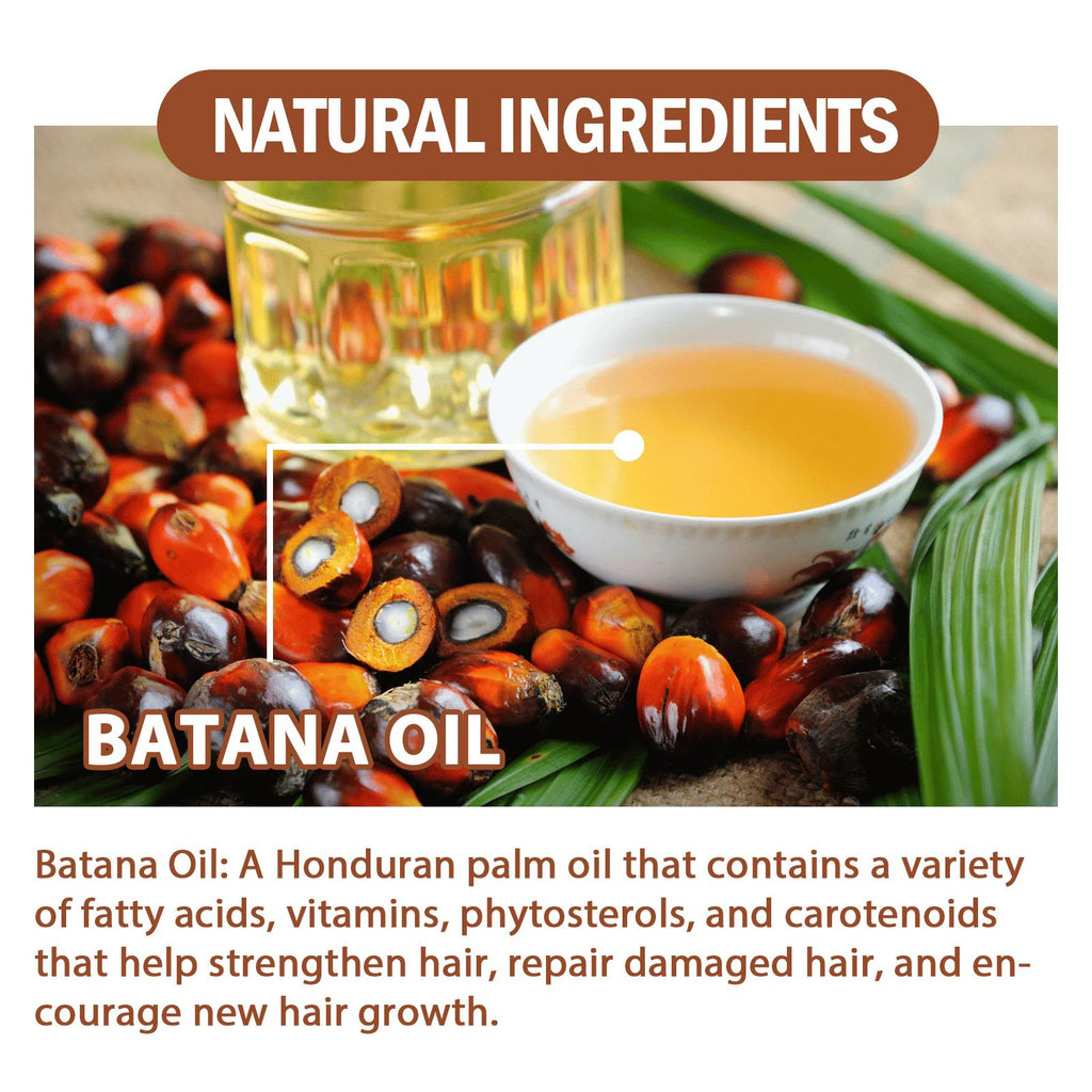 Batana Oil from Honduras | Fuller, Thicker & Healthier Hair Conditioner for Women & Men